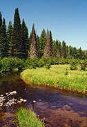 mountain stream