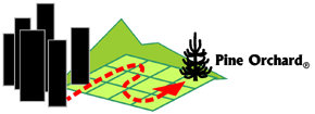 city-to-company grid